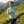 Tricou Merinos Bjork Zip ML 210 Femei