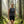 Active Top Merino 140