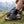 Sosete Treck 90 - Pachet de 3 perechi